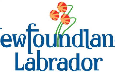 CBC采访短片：你是Newfie还是Newfoundlander？