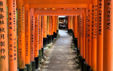 日本东京、京都10天佛系游